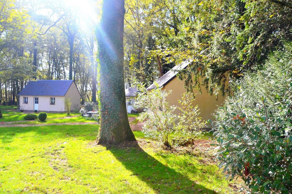 Hôtel les Grands Chênes Saint-Fargeau  Quarto foto